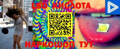 стаф Свободный