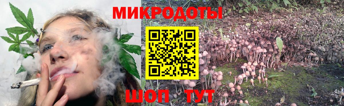 Петропавловск-Камчатский  Галлюциногенные грибы GOLDEN TEACHER  Вход с VPN 
