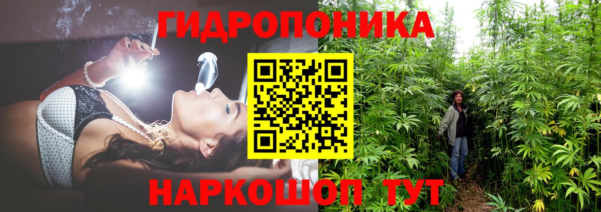 Шишки марихуана семена Петропавловск-Камчатский